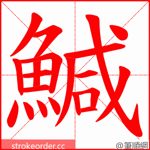 鰔 的笔顺动画顺序