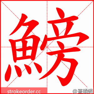 鰟 的笔顺动画顺序