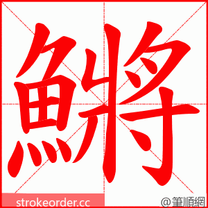 鱂 的笔顺动画顺序