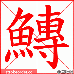 鱄 的笔顺动画顺序