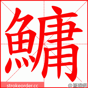 鱅 的笔顺动画顺序