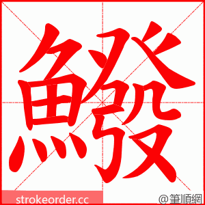 鱍 的笔顺动画顺序