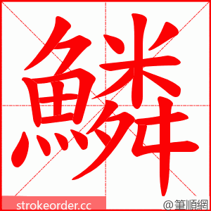 鱗 的笔顺动画顺序