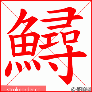 鱘 的笔顺动画顺序
