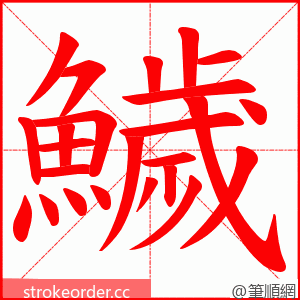 鱥 的笔顺动画顺序