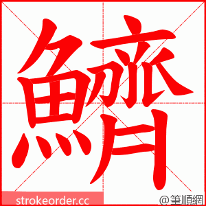 鱭 的笔顺动画顺序