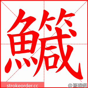 鱵 的笔顺动画顺序