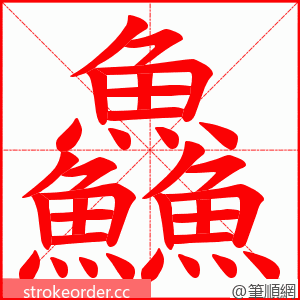 鱻 的笔顺动画顺序