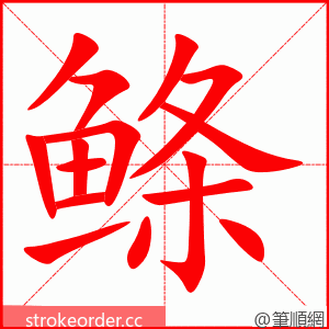 鲦 的笔顺动画顺序