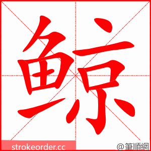 鲸 的笔顺动画顺序