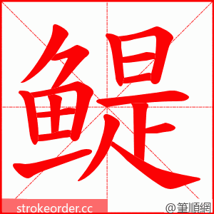 鳀 的笔顺动画顺序