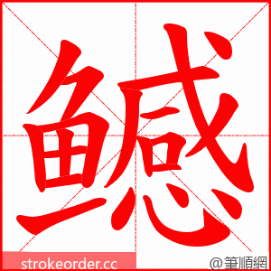 鳡 的笔顺动画顺序