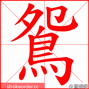 鴛 的笔顺动画顺序