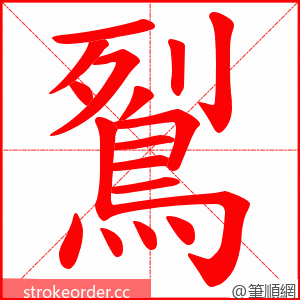 鴷 的笔顺动画顺序
