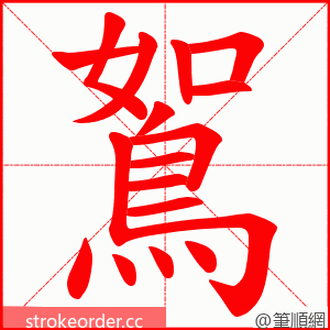 鴽 的笔顺动画顺序