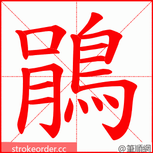 鵑 的笔顺动画顺序