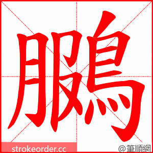 鵩 的笔顺动画顺序