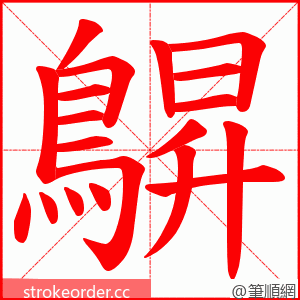 鵿 的笔顺动画顺序