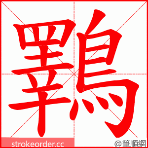 鸅 的笔顺动画顺序