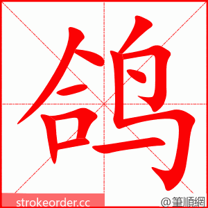stroke order animation of 鸽
