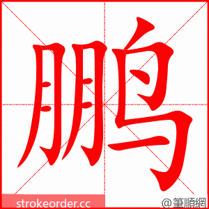 鹏 的笔顺动画顺序