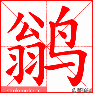 鹟 的笔顺动画顺序