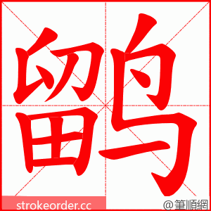 鹠 的笔顺动画顺序