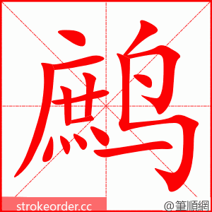 鹧 的笔顺动画顺序