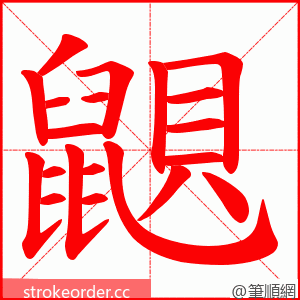 鼰 的笔顺动画顺序