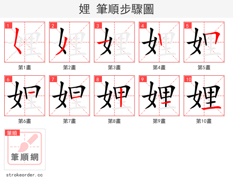 娌 的笔顺分步演示
