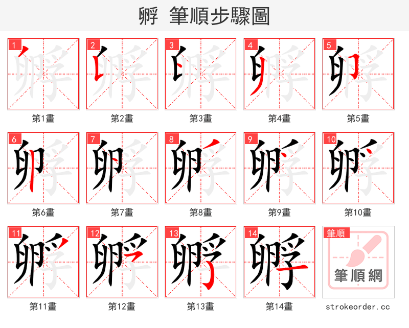 孵 的笔顺分步演示