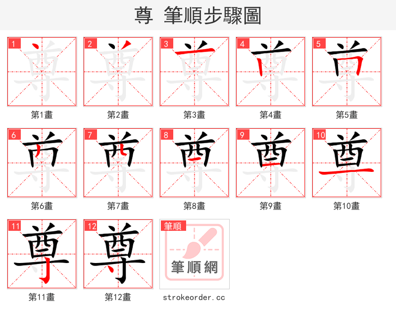 尊 的笔顺分步演示