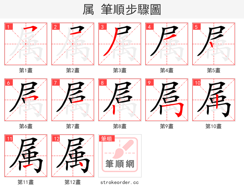 属 的笔顺分步演示