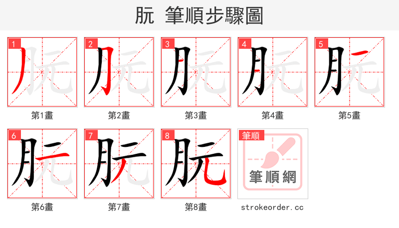 朊 的笔顺分步演示