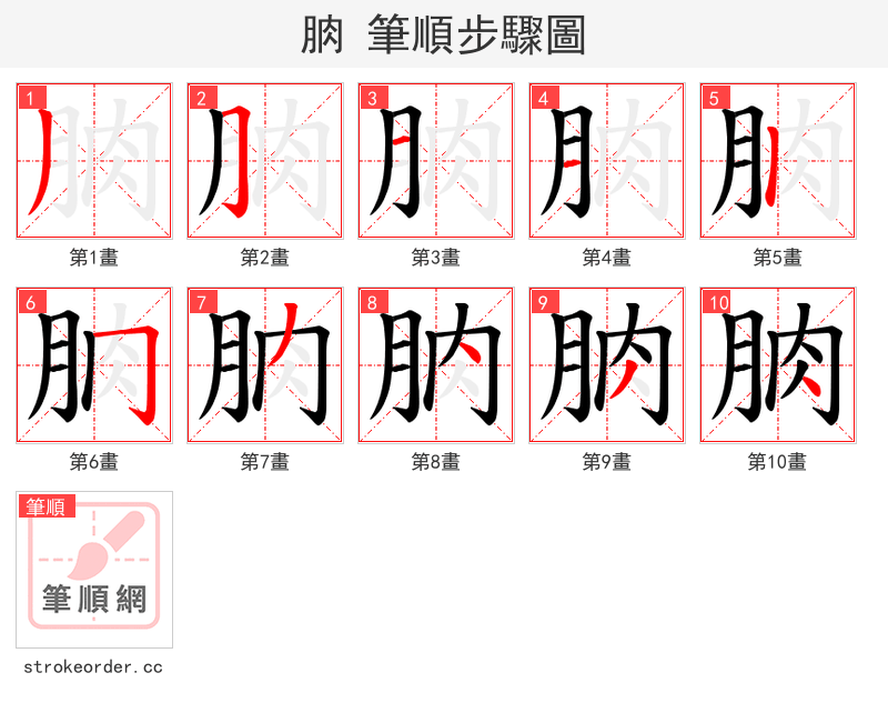 朒 的笔顺分步演示