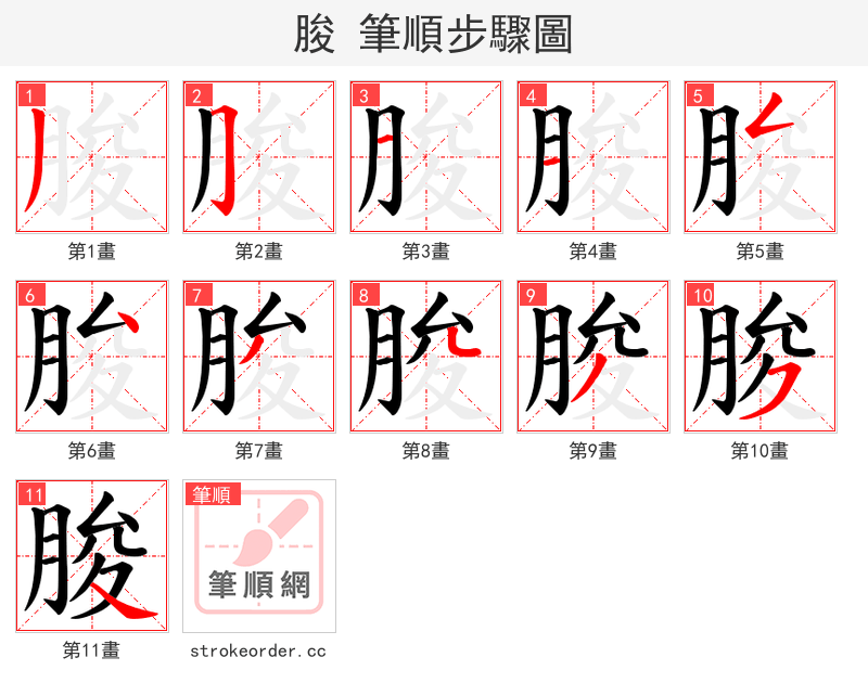 朘 的笔顺分步演示