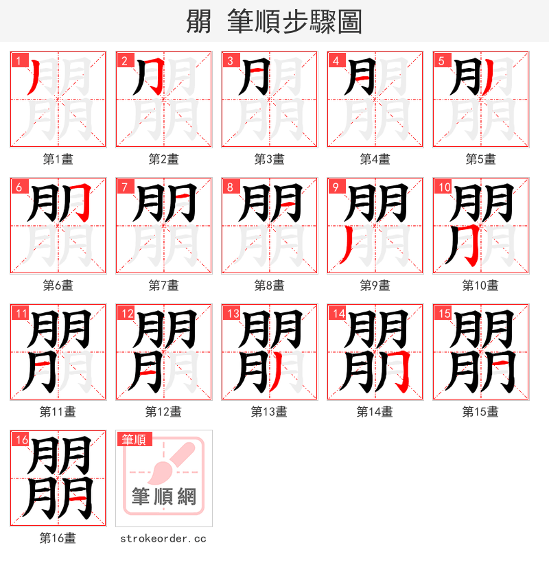 朤 的笔顺分步演示