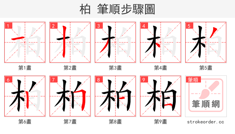 柏 的笔顺分步演示