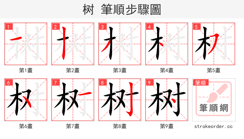 树 的笔顺分步演示