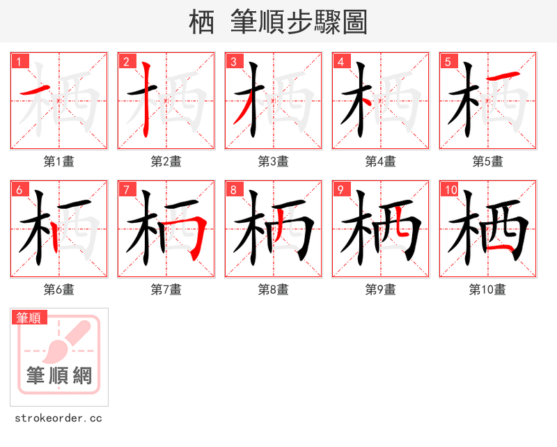 栖 的笔顺分步演示