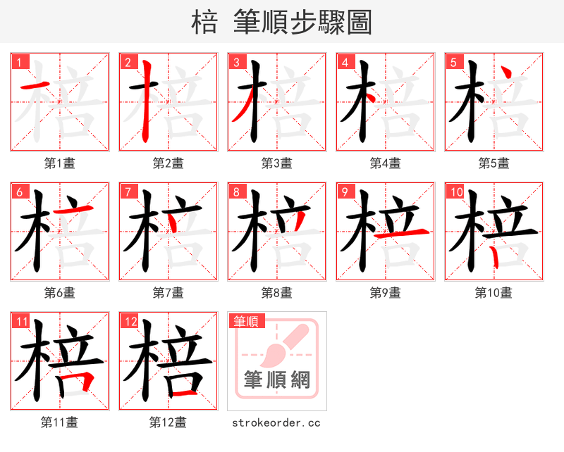 棓 的笔顺分步演示
