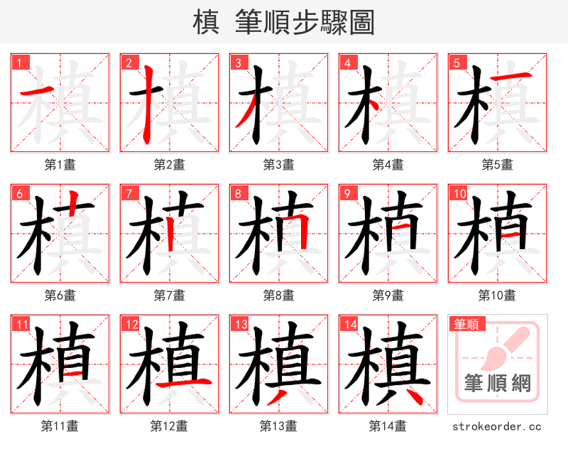 槙 的笔顺分步演示