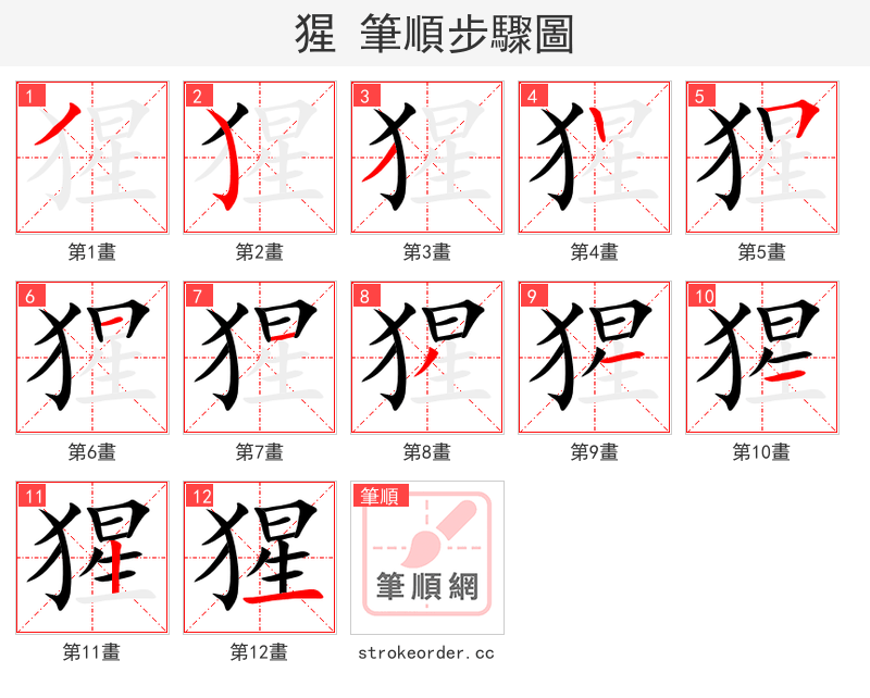 猩 的笔顺分步演示