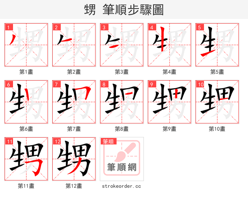 甥 的笔顺分步演示