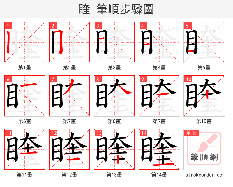 睳 的笔顺分步演示