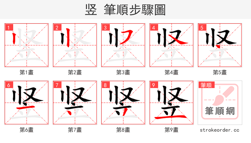 竖 的笔顺分步演示