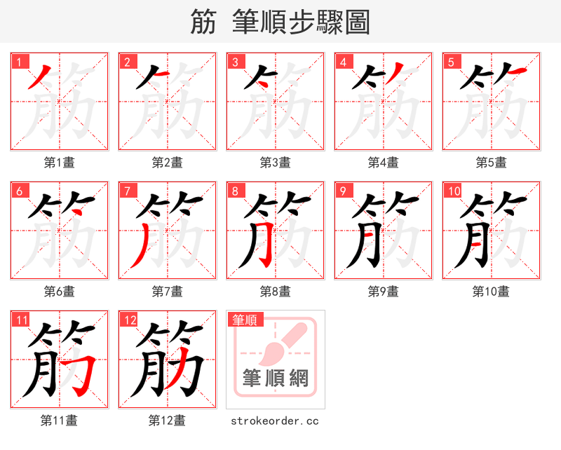 筋 的笔顺分步演示