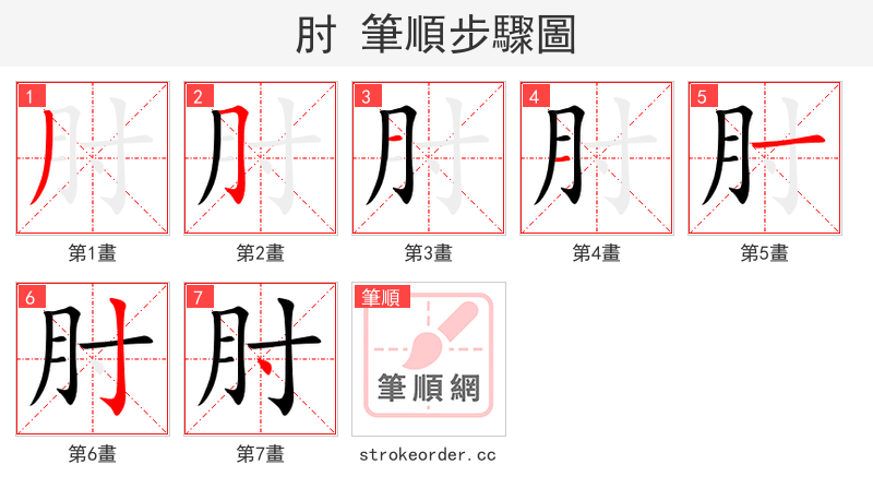 肘 的笔顺分步演示