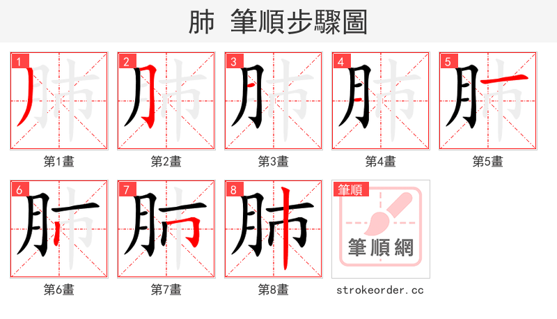 肺 的笔顺分步演示