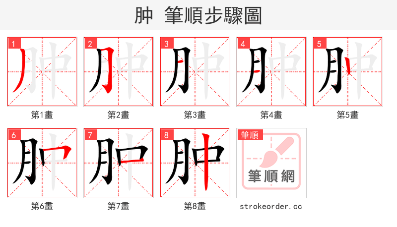 肿 的笔顺分步演示